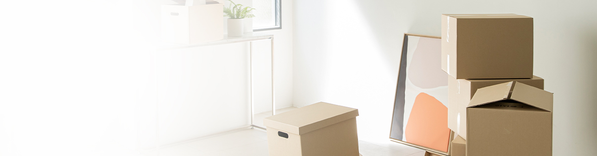 상단배경이미지