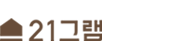 21그램